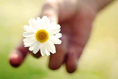 早上发朋友圈的句子(推荐84句) 早上发朋友圈的句子(推荐84句)