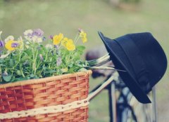 相遇却无缘在一起句子(通用95句)