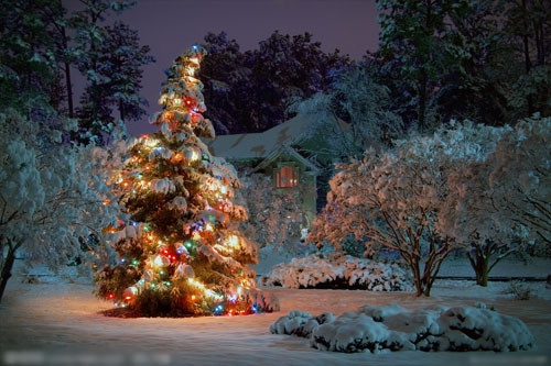 小朋友收到礼物后的感谢语(通用86句)