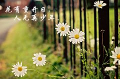来自古诗词的古风名字(共115个)