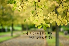 猫咪又土又搞笑的名字(45个)