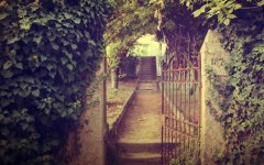 甜美的爱恋情侣昵称两个字(共168个)