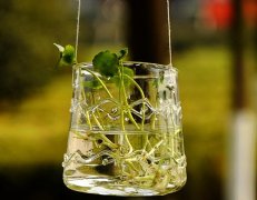 收到女朋友送的礼物感动的句子(实用61句)