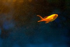 做人要有担当的句子(必备83句)