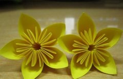 个性情感句子说说心情短语(汇总83句)