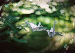 唯美爱情陌陌签名短句(必备236句)