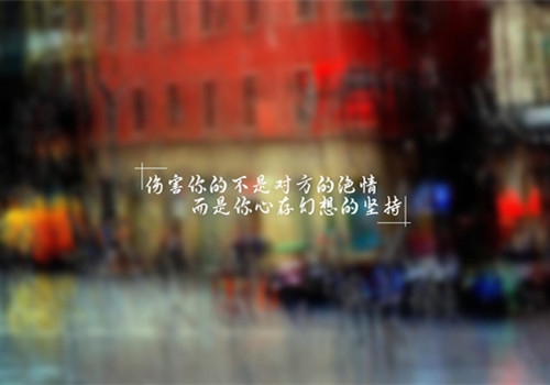 美发店庆活动宣传语(实用354句)