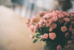 美发店宣传广告语经典用语大全(热门122句)