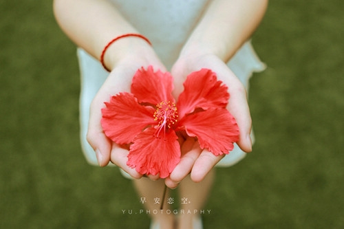 快手网名女2023最火(优选380个)(快手网名女2023最火)