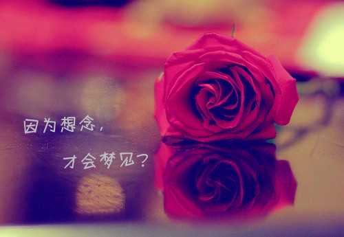 网络女生名字霸气名字大全(精选459个)(女生网名起什么好?霸气!)