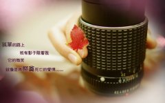 读到想哭的伤感句子(必备247句)