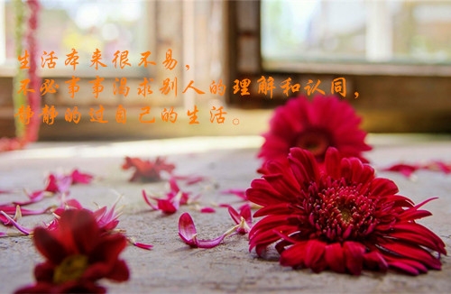 来土灶台就餐说说句子(共64句)