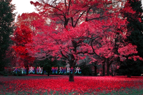 人生感悟伤感的心情说说(热门124句)