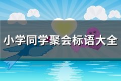 小学同学聚会标语大全(汇总99句)
