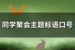 同学聚会主题标语口号(必备123句)