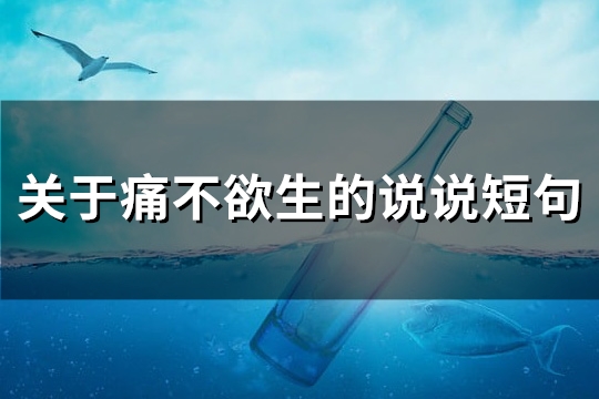 关于痛不欲生的说说短句(优选63句)