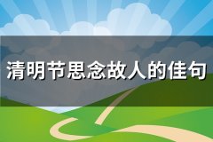 清明节思念故人的佳句(优选147句)