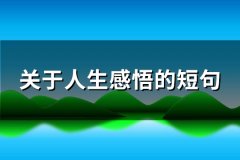 关于人生感悟的短句(65句)