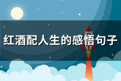 红酒配人生的感悟句子(共32句)