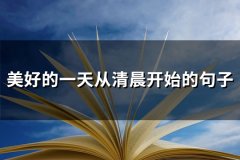 美好的一天从清晨开始的句子(99句)