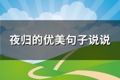 夜归的优美句子说说(实用65句)