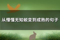 从懵懂无知蜕变到成熟的句子(精选43句)