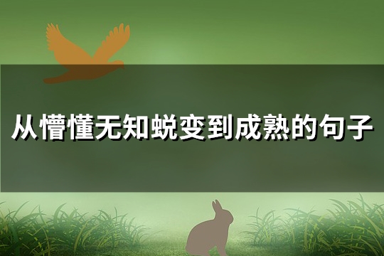 从懵懂无知蜕变到成熟的句子(精选43句)