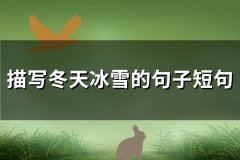 描写冬天冰雪的句子短句(优选71句)
