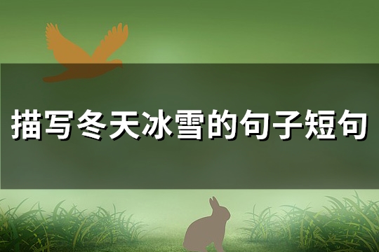 描写冬天冰雪的句子短句(优选71句)