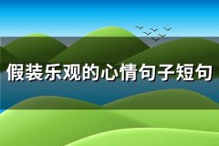 假装乐观的心情句子短句(优选160句)