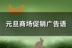 元旦商场促销广告语(热门300句)
