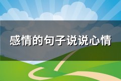感情的句子说说心情(74句)