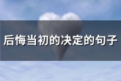 后悔当初的决定的句子(共90句)