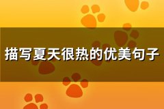 描写夏天很热的优美句子(优选62句)