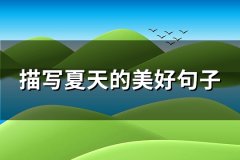 描写夏天的美好句子(优选86句)