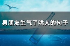 男朋友生气了哄人的句子(通用76句)