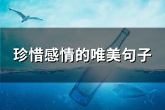 珍惜感情的唯美句子(推荐69句)