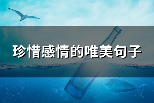 珍惜感情的唯美句子(推荐69句)