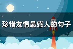 珍惜友情最感人的句子(精选85句)
