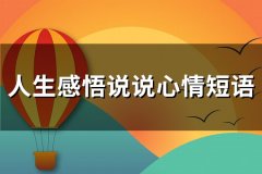 人生感悟说说心情短语(通用125句)