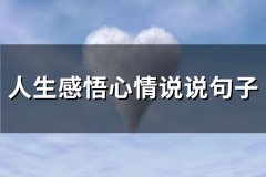 人生感悟心情说说句子(热门145句)