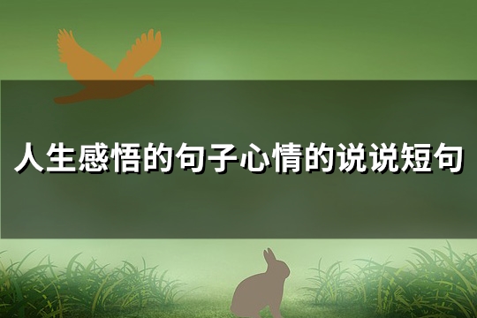 人生感悟的句子心情的说说短句(汇总95句)