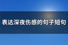 表达深夜伤感的句子短句(295句)