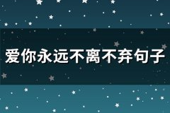爱你永远不离不弃句子(汇总166句)