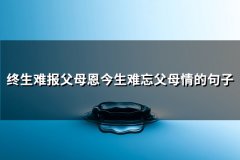 终生难报父母恩今生难忘父母情的句子(热门76句)