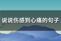说说伤感到心痛的句子(热门93句)