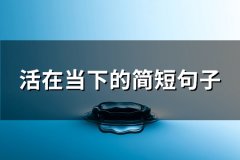 活在当下的简短句子(热门80句)
