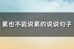 累也不能说累的说说句子(热门163句)