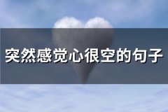 突然感觉心很空的句子(优选65句)