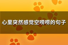 心里突然感觉空唠唠的句子(汇总131句)